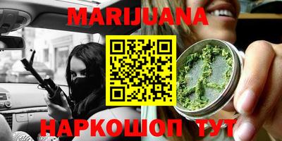 сатива Камышлов