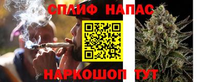сатива Канаш