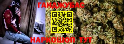 Альфа ПВП Кандалакша