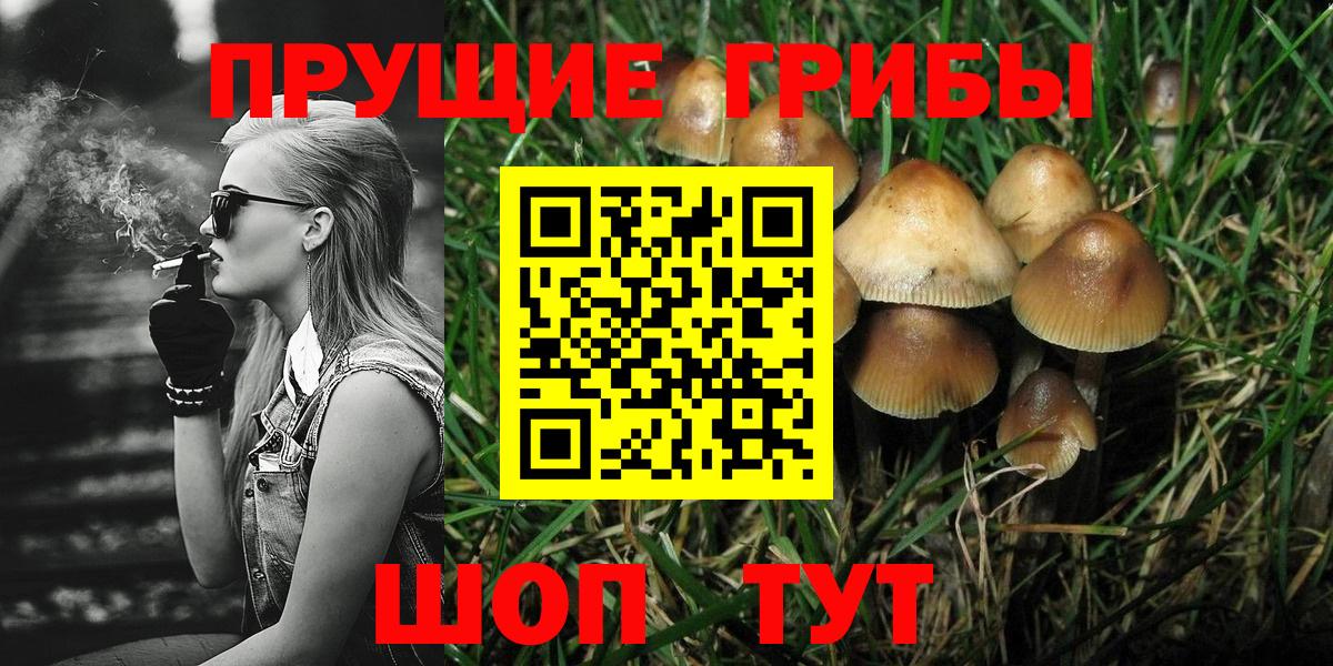 Галлюциногенные грибы MAGIC MUSHROOMS  наркотики  Кувандык  Вход с VPN 